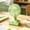 Green, variant on Partheme Cartoons Fruit Printed Base 3 Speed Desktop Fan with Metal Safety Grille, USB Rechargeable Small Desk Fan for Office Dorm, Macaron Color 300mAh, Purple