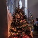 thumbnail image 4 of Cadena de luces LED de 50 pies Fiudx con forma de fresa, 4 of 7