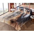 thumbnail image 4 of Ambesonne Colorful Fitted & Top Sheet Set with Shams, Old Feather, Multicolor, 4 of 5
