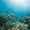 Sea Turtle In Maui, variant on Elephant Stock Sea Turtle In Maui Wall Art - Horizontal Canvas Wall Art - Living Room Wall Decor - Animal Canvas - Teal And Turquoise Decor - 12" x 8"