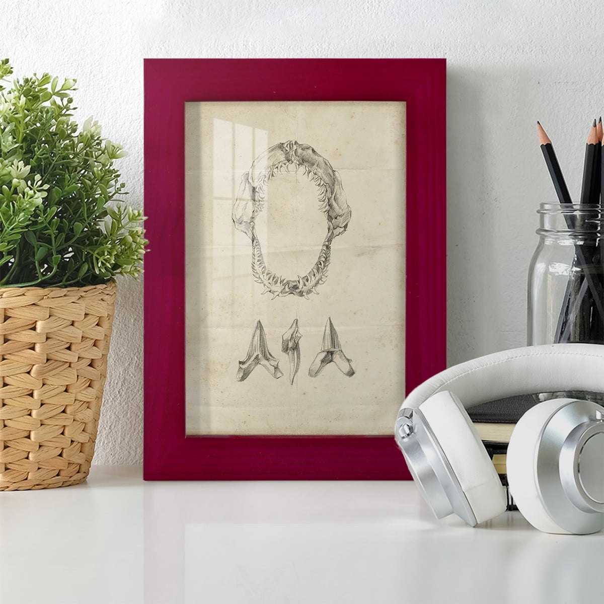Shark Study I - Framed Print w/glass - Cherry Red