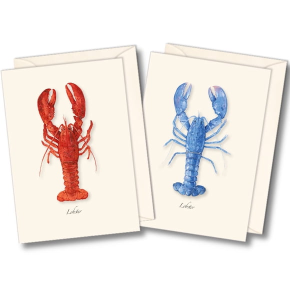 Set de 8 tarjetas de notas Earth Sky + Water – Langosta