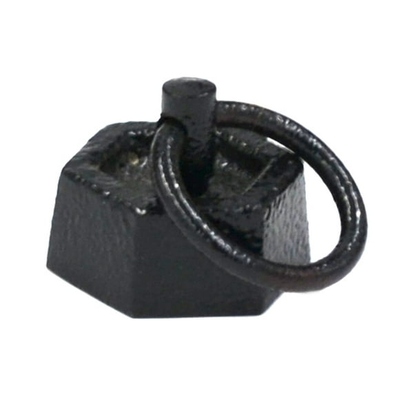 Iron Masses - Hexagonal with Lifting Ring - 50g - Eisco Labs