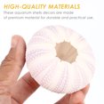 thumbnail image 4 of 6pcs Sea Urchin Decors Aquarium Decorations Sea Urchin Ornaments Desktop Decors Mixed Style, 4 of 6