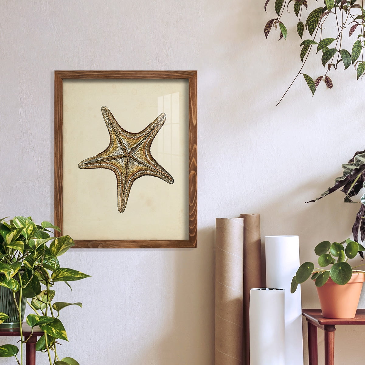 Sealife Collection IV - Framed Print w/glass - Walnut