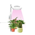 thumbnail image 1 of Luz de cultivo de plantas, luces LED de espectro completo para luz de plantas de interior con temporizador, altura ajustable de 3/9/12H para plantas pequeñas, 1 of 8