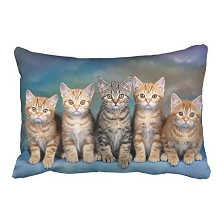 Custom Pillow Shams WinHome Decorative Custom Kitten Series Cute Cat Pillowcase Zippered Design Printed Pillow Case Cover Size 20x30 inches Two Side ()