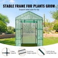 thumbnail image 5 of Walk In Greenhouse With 4 Shelves Heavy Duty Steel Frame UV Protection Waterproof PE Cover Roll Up Zipper Door For Indoor Outdoor Plant Growing And Storage, 5 of 6