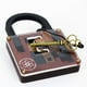 thumbnail image 5 of Lock Puzzle Colección Professor Puzzle Einstein, 5 of 8
