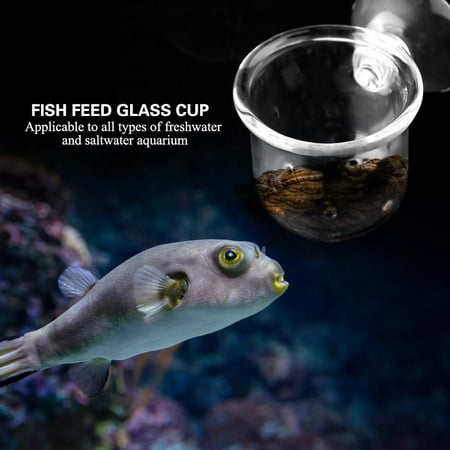 Sonew Small Crystal Glass Plant Feeding Cup Fish Red Worm Feeder