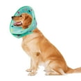 thumbnail image 4 of Milaget Kitty Prevent stop Licking Anti Bite Lick Wound M, 4 of 9