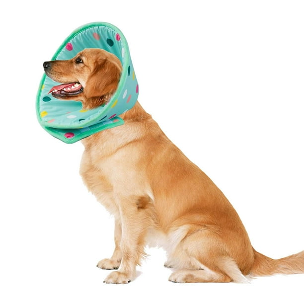Dog Collar Stop Licking Royalty-Free Images, Stock Photos