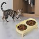 thumbnail image 4 of CaiYueKe Non-Slip Elevated Dog Bowls Stainless Steel Double Pet Feeder Dish Anti-Tip Spill Proof Bowls for Cats Small Dogs Senior Pets Food Water Bowls with Neck Support Easy Clean Feeding Station, 4 of 7