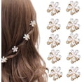 thumbnail image 1 of Pinzas para el cabello pequeñas, juego de 10 accesorios para el peinado del cabello Mini Sli JM, 1 of 5