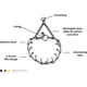 thumbnail image 3 of Sprenger Collar De Adiestramiento Para Perros Con Púas 41 Cm, 3 of 6