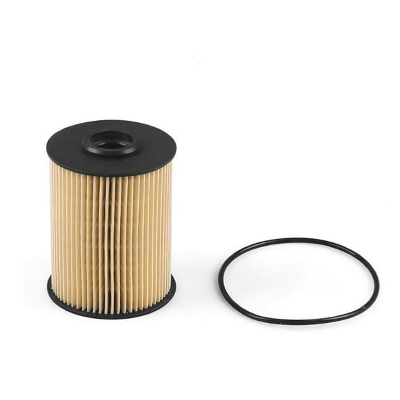 Wauebuly For Dodge Ram 2500 3500 5.9L Cummins Turbo Diesel 2000-2010 Fuel Filter 5015581AA Replaces 5015581AD 68001914AA