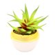 thumbnail image 1 of Planta Artificial Hometrends con Maceta de Plástico Dorada, 1 of 1