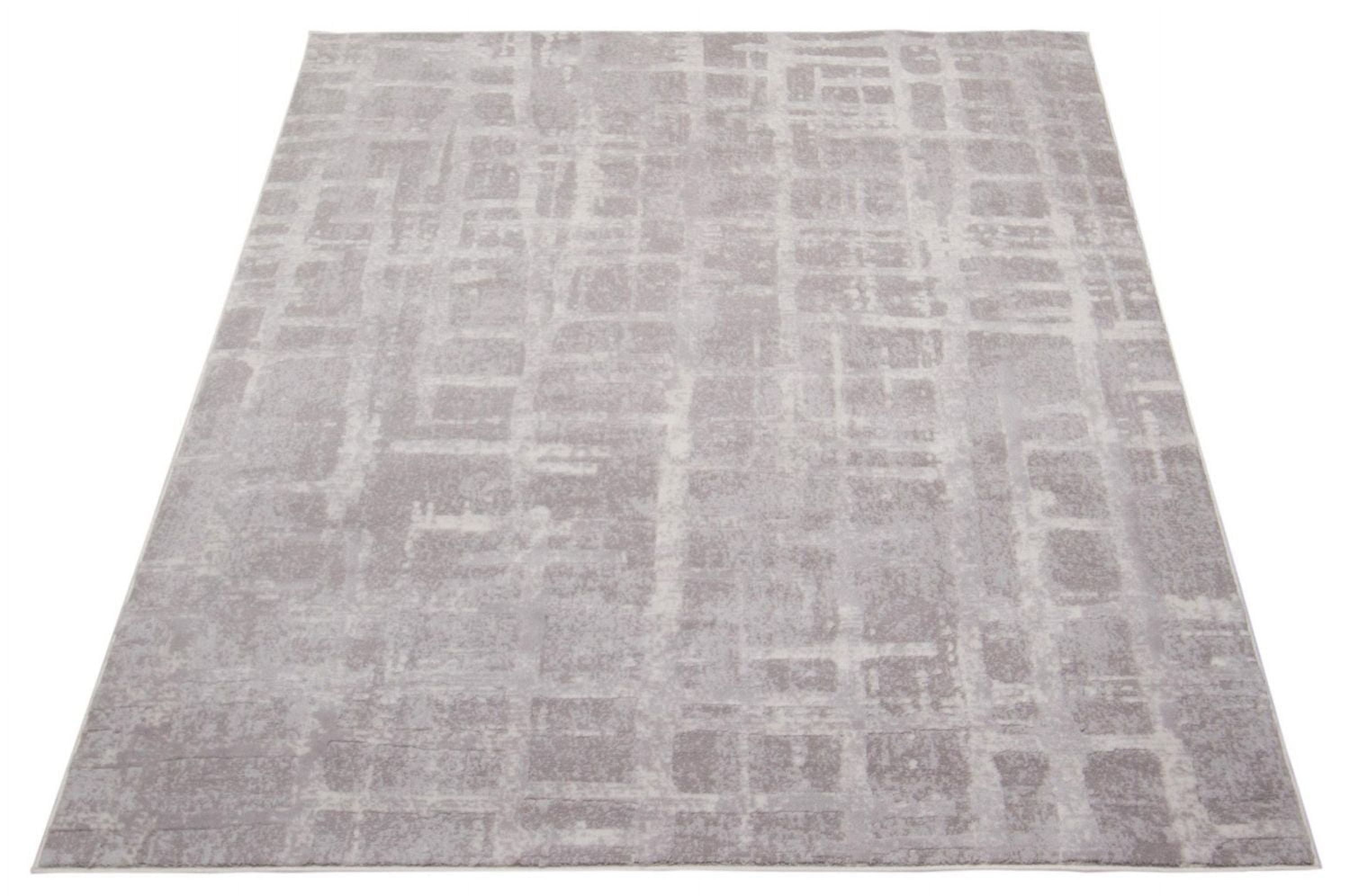 Ecarpet Modern Indoor Area Rug for Living Room Dining Room Anitra Collection