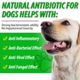 thumbnail image 2 of Antibióticos para perros VOSIFSDIY, suplementos herbales naturales, 60 ml, 2 of 5