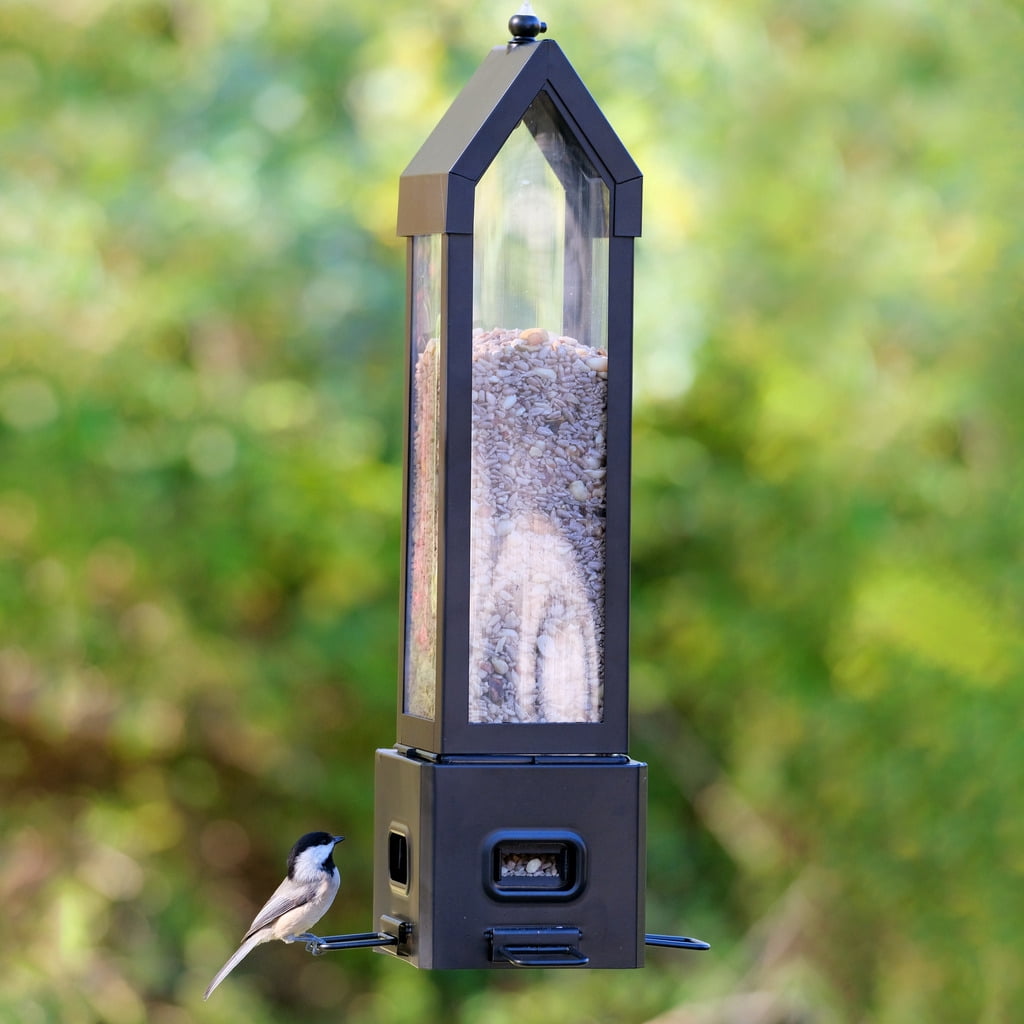 Squirrel Shield Metal Squirrel Proof Choice Lantern Feeder 3.1QT, Black