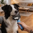 thumbnail image 3 of Olilia Pet Grooming Brush ，Fine-Tooth Comb, Pet Brush ，Anti-Slip Grip，Easily Detangle Tangled Fur, Suitable for Cats and Dogs (Blue, Large)., 3 of 7