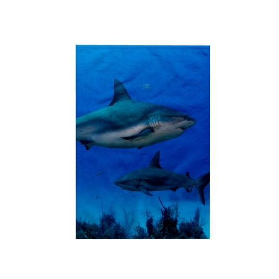 3dRose, Caribbean Reef Shark., 15x22 Hand Towel