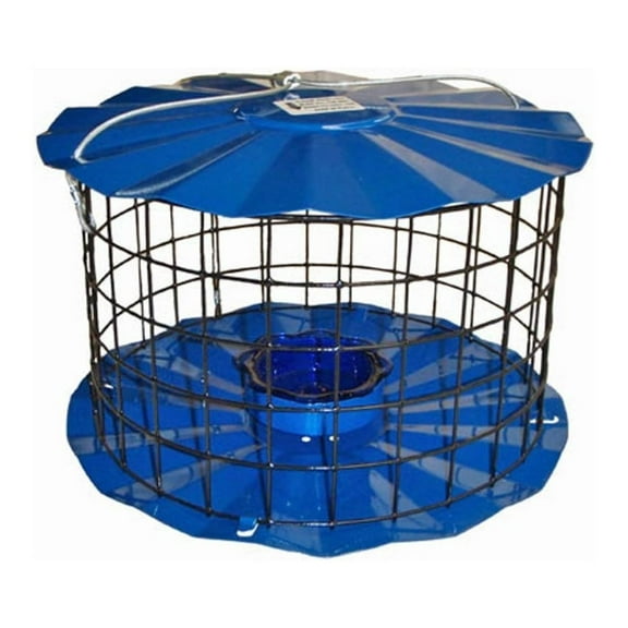 Bluebird Feeder - Includes Meal Worm Cup - Designed to Keep Squirrels Out - Made in The USA