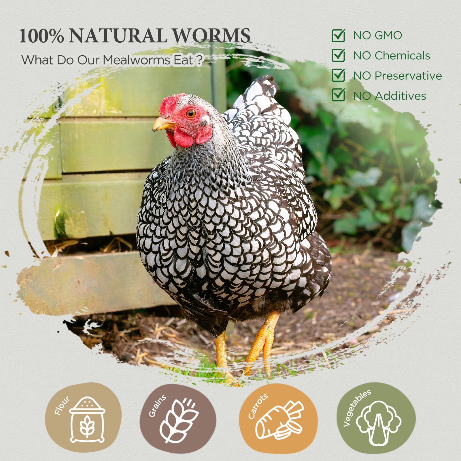 COOHGRUBS 100% Natural Dried Mealworms, Non-GMO Meal Worms for Chickens, Ducks & Wild Birds, High Protein Chicken Treats & Bird Food, 10-lb Box