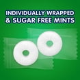thumbnail image 5 of Life Savers Wint-O-Green Sugar Free Breath Mints Hard Candy - 2.75 oz, 5 of 8