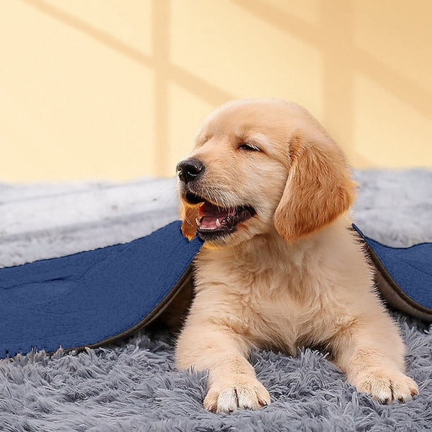 Xihbxyly Toalla de Baño para Mascotas, Suave Tejido Polar, Diseño Altamente Absorbente, Tamaño Extragrande, Versátil para Secar y Usar Como Manta, Esencial para Dueños de Mascotas, 100 X 50 Cm.