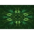 thumbnail image 1 of Ahgly Company Indoor Rectangle Patterned Green Area Rugs, 3' x 5', 1 of 6