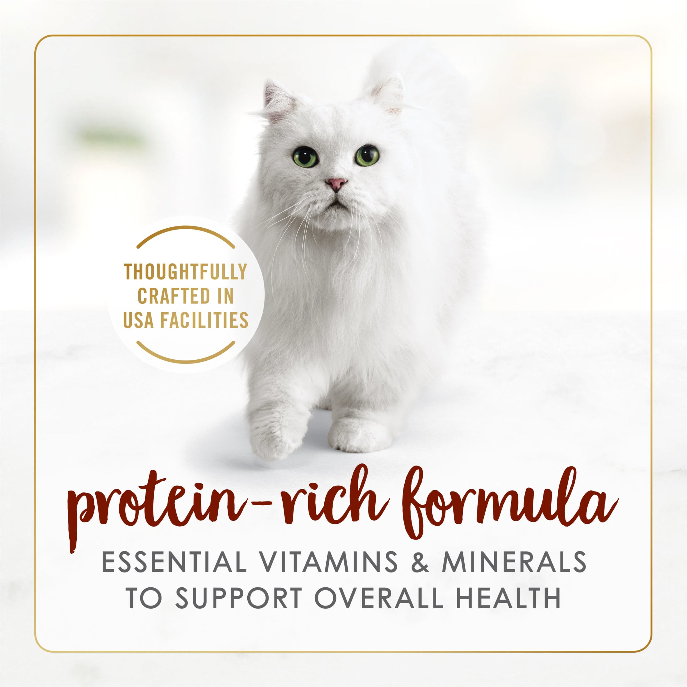 (12 pack) Purina Fancy Feast Tender Beef Feast Classic Grain Free Wet Cat Food Pate, 3 oz.