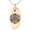 Rose, variant on Stainless Steel Celtic Triquetra Heart Knot Engraved Small Oval Charm Pendant Necklace