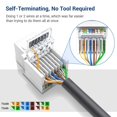 thumbnail image 2 of Conector Keystone RJ45 Cat6 ZoeRax sin herramientas, paquete de 50 unidades, blanco, 2 of 6