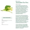 thumbnail image 4 of Natur Vital Happy Kids Preventive Shampoo 94% Natural Tea Tree 300 mL 10.1 fl.oz, 4 of 4