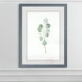 thumbnail image 4 of Wexford Home Soft Eucalyptus Branch III-Framed Print - Grey - 22X30, 4 of 4