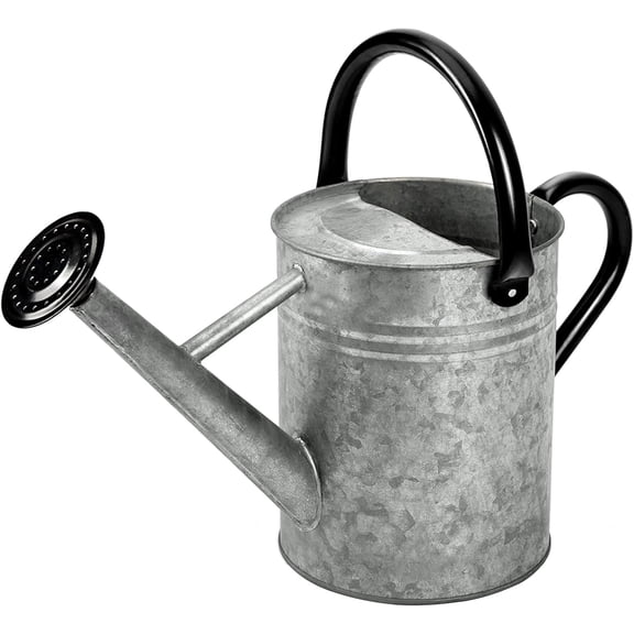 Metal Watering Can, One Gallon Watering Cans Stainless Steel for Outdoor Indoor Garden Plants Watering (Silver 1 Gallon)
