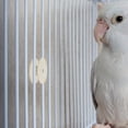 thumbnail image 4 of BESTYASH 10 De Tuercas Y Arandelas Para De Pájaros Compatible Con Varias Jaulas, 4 of 8