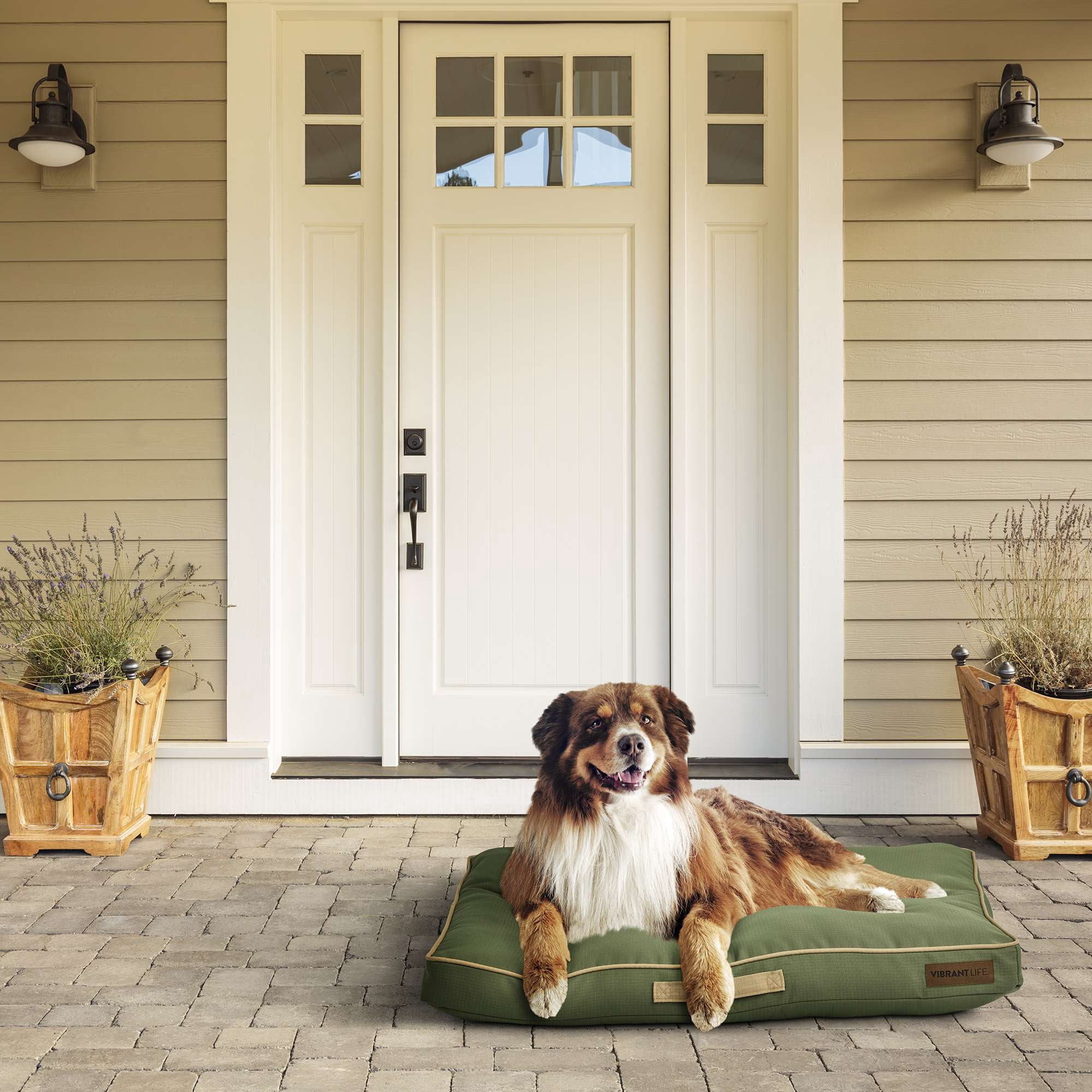 Vibrant Life Travel Dog Bed, Large, Durable, Chew Resistant, Loden Green 38" x 28"