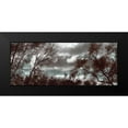 thumbnail image 2 of Romita, Denise 18x10 Black Modern Framed Museum Art Print Titled - Looking Upward Panel, 2 of 5