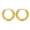 Gold, variant on Gold Plated Twisted Hoop Earrings for Women Dainty Textured Huggie Jewelry Gift Gold