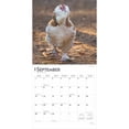 thumbnail image 6 of Chickens 2025 12 X 24 Inch Monthly Square Wall Calendar Plastic-Free, (Paperback), 6 of 9
