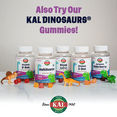 thumbnail image 6 of KAL Dinosaurs Zinc Elderberry ActivMelt | Kids Healthy Immune Support | Natural Berry Flavor | Sugar Free | 90 MicroTabs, 6 of 6