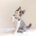 thumbnail image 3 of Cat Collar Breakaway with Bowtie Bell, Removable Shirt Collar, 2 Pack Beige Blue Plaid Collars for Cat Kitten, 3 of 6