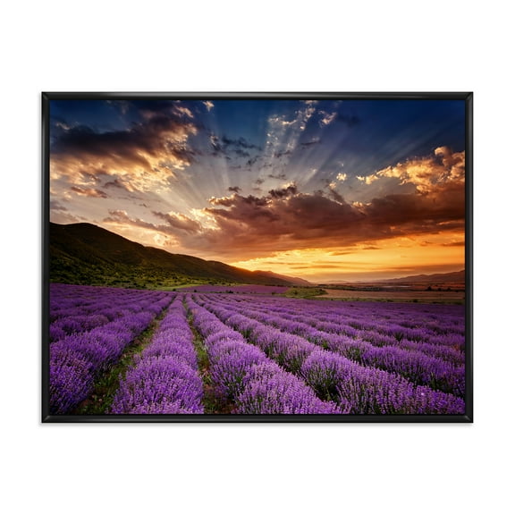 Designart 'Dramatic Clouds and Sunrise Over Lavender Field X' Farmhouse Framed Canvas Wall Art Print