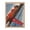 Red Oak, variant on Grado Italy Poster, circa 1935. Framed Vintage Travel Poster