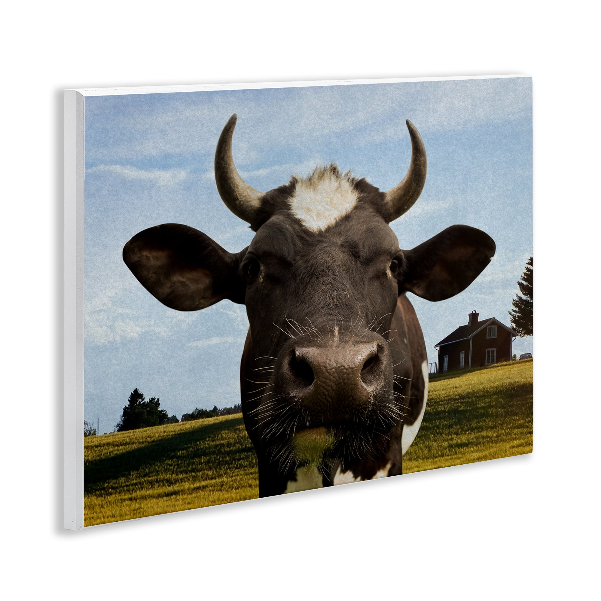 Stupell Industries Farm Cow with Curved Horns Wall Plaque Art, design by Marcus Prime