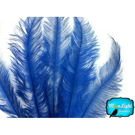 - 20 Pieces - Royal Blue Mini Spads Ostrich Chick Body Feathers