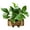 type:style1;, variant on Creative wooden pots, simulation of green plants, bonsai, household goods, small ornaments, simulation of plants, silk-printed leaves - type:style3;