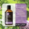 MAYJAM Pure Clove Essential Oil for Hair, Skin, Diffuser 30ml